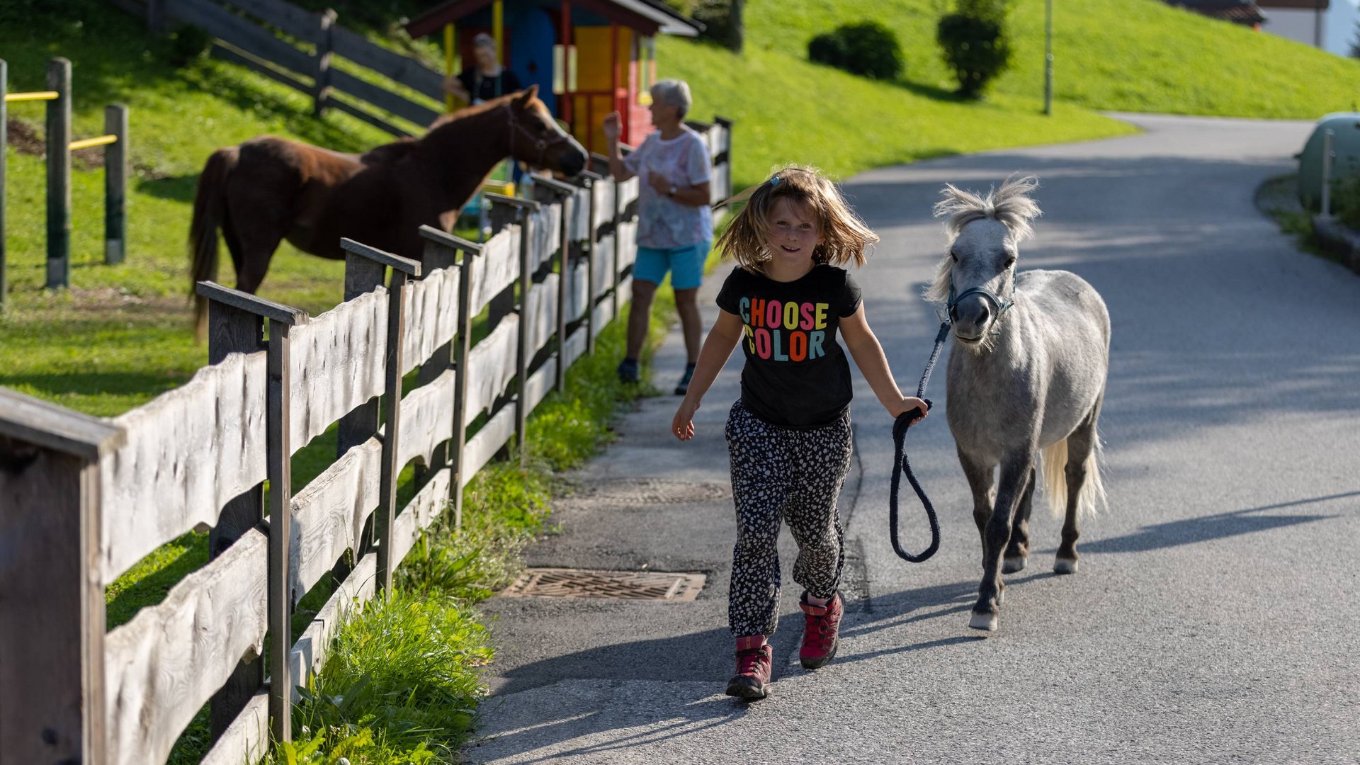 Accommodation in Zillertal with our animal inhabitants Accommodation in Zillertal with our animal inhabitants