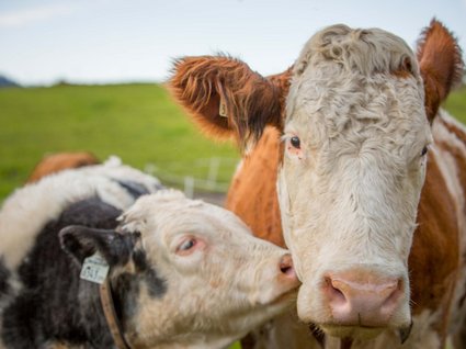 Nachhaltig – natürlich! Nachhaltig – natürlich!