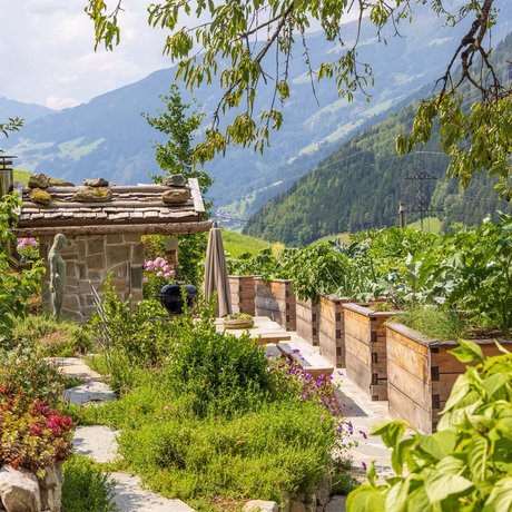 Summer in Zillertal with the whole family Summer in Zillertal with the whole family