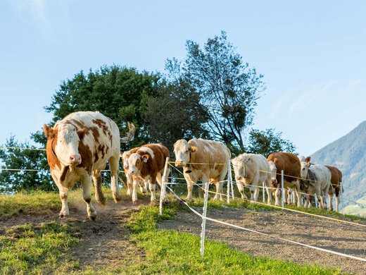Nachhaltig – natürlich! Nachhaltig – natürlich!