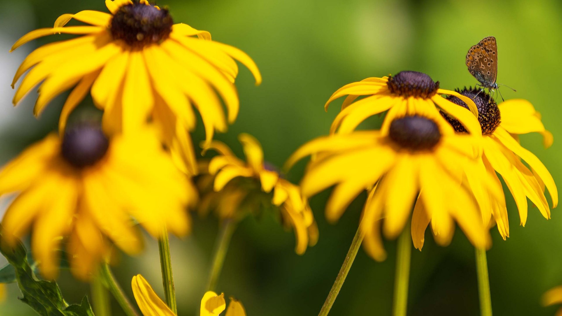 Nachhaltig – natürlich! Nachhaltig – natürlich!