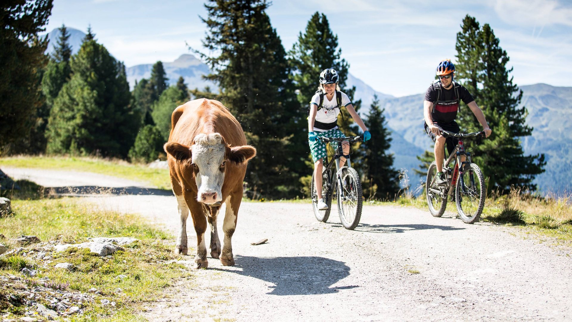 Urlaub im Zillertal leicht gemacht