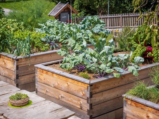 Nachhaltig – natürlich! Nachhaltig – natürlich!