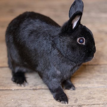 Ferienwohnung im Zillertal mit Panoramablick Ferienwohnung im Zillertal mit Panoramablick