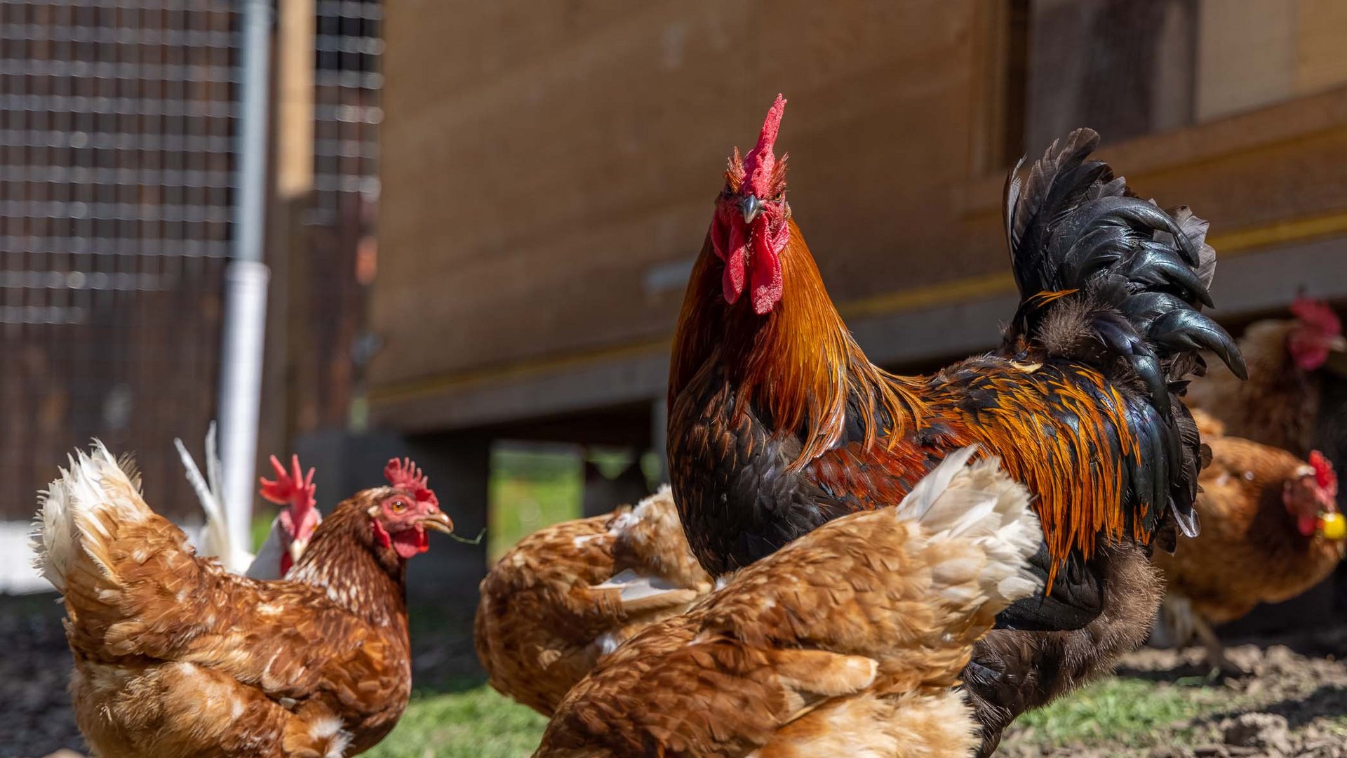 Nachhaltig – natürlich! Nachhaltig – natürlich!
