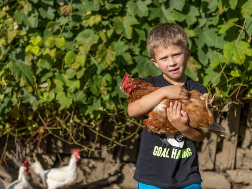 Unterkunft im Zillertal mit tierischen Bewohnern Unterkunft im Zillertal mit tierischen Bewohnern