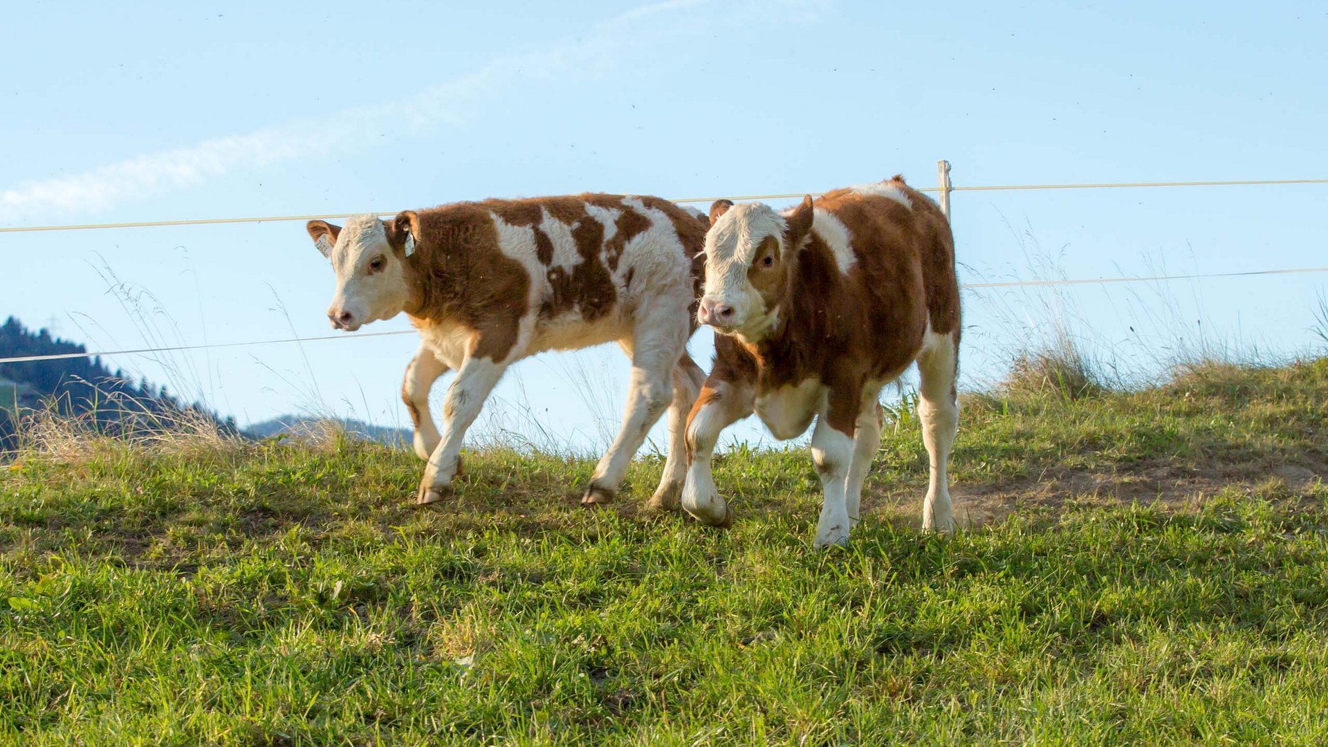 Nachhaltig – natürlich! Nachhaltig – natürlich!