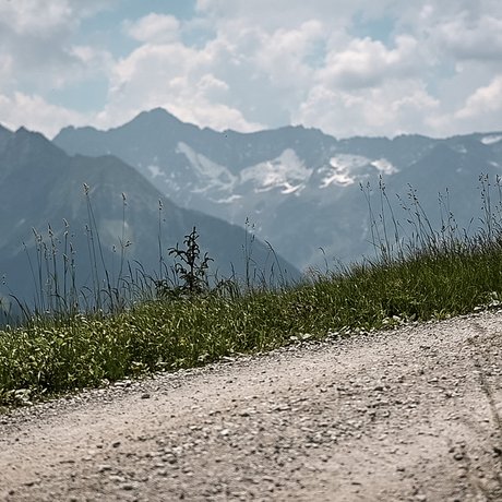 Sommer im Zillertal für die ganze Familie Wanderweg mit Gras und Bergen im Hintergrund unter bewölktem Himmel