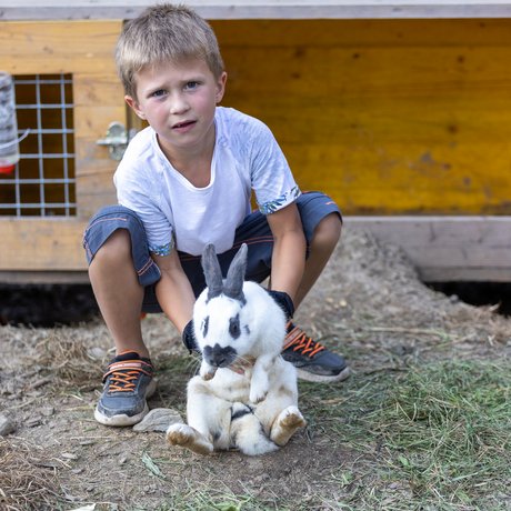 Summer in Zillertal with the whole family Summer in Zillertal with the whole family