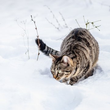 Ferienwohnung im Zillertal mit Panoramablick Ferienwohnung im Zillertal mit Panoramablick
