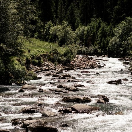 Sommer im Zillertal für die ganze Familie Schnell fließender Fluss mit Felsen und grünen Bäumen im Hintergrund