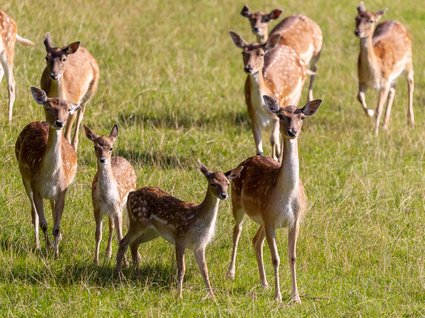 Nachhaltig – natürlich! Nachhaltig – natürlich!