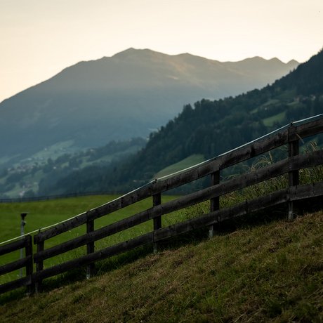 Sommer im Zillertal für die ganze Familie Holzzaun auf grünem Hügel mit Bergen im Hintergrund bei Sonnenuntergang