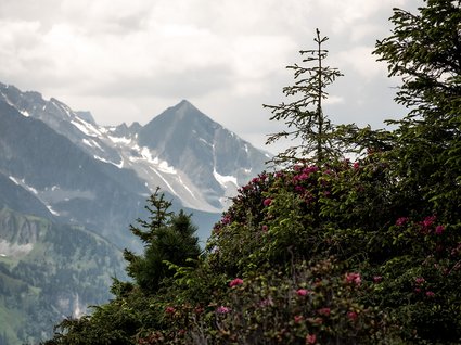 Appartements im Zillertal mit Herz Appartements im Zillertal mit Herz