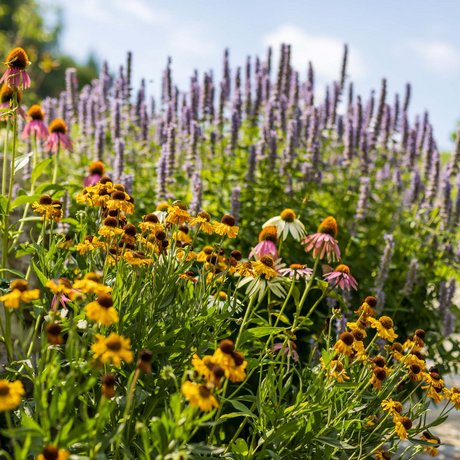 Summer in Zillertal with the whole family Summer in Zillertal with the whole family