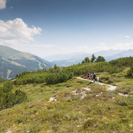 Summer in Zillertal with the whole family Summer in Zillertal with the whole family