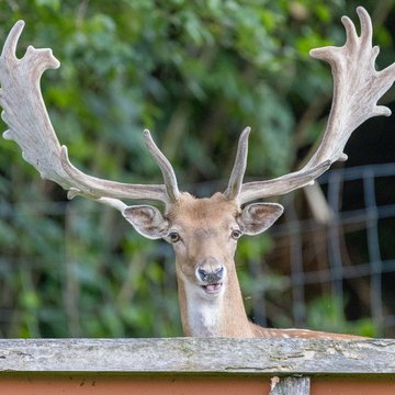 Appartement in Zell am Ziller. Dein Urlaubszuhause am Hof. Appartement in Zell am Ziller. Dein Urlaubszuhause am Hof.